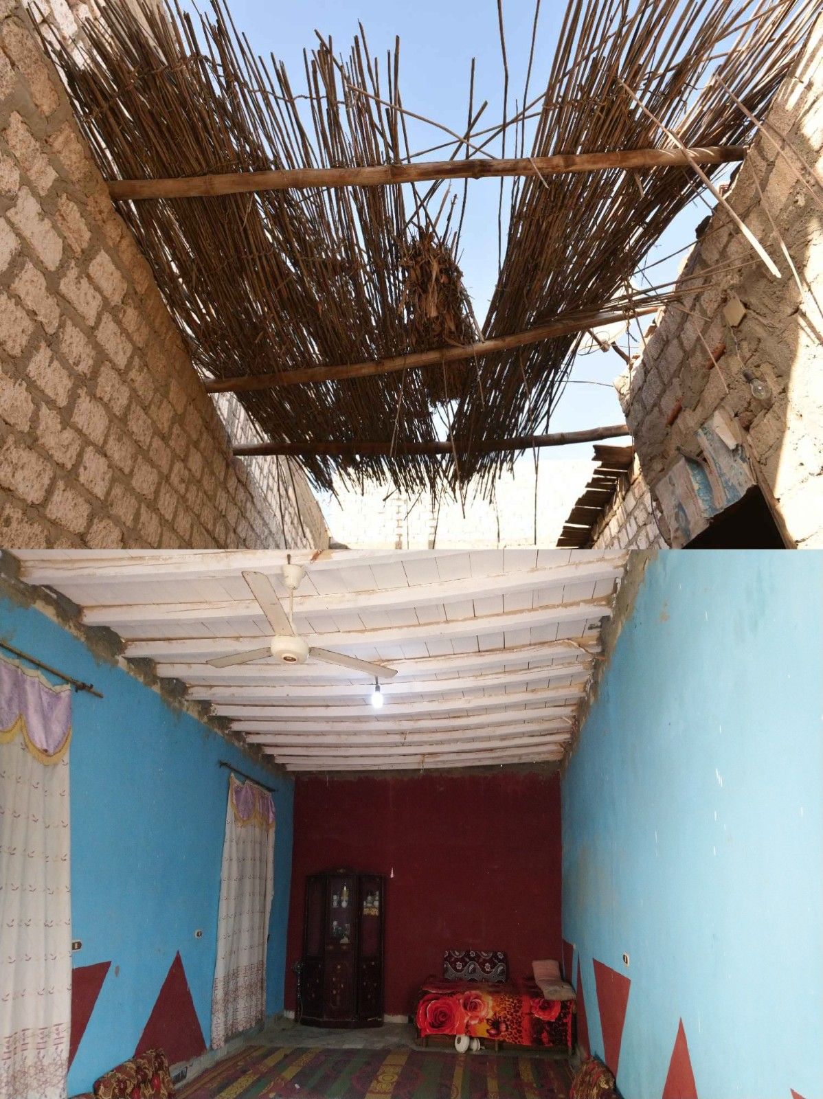 قرية الديسمى - الجيزة